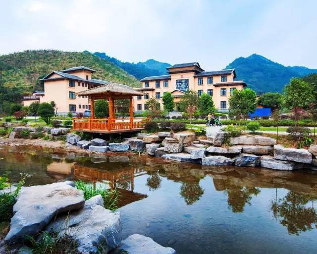 廣西蒙山高速最新動態(tài)，駛向自然美景，探尋內(nèi)心平靜的旅程