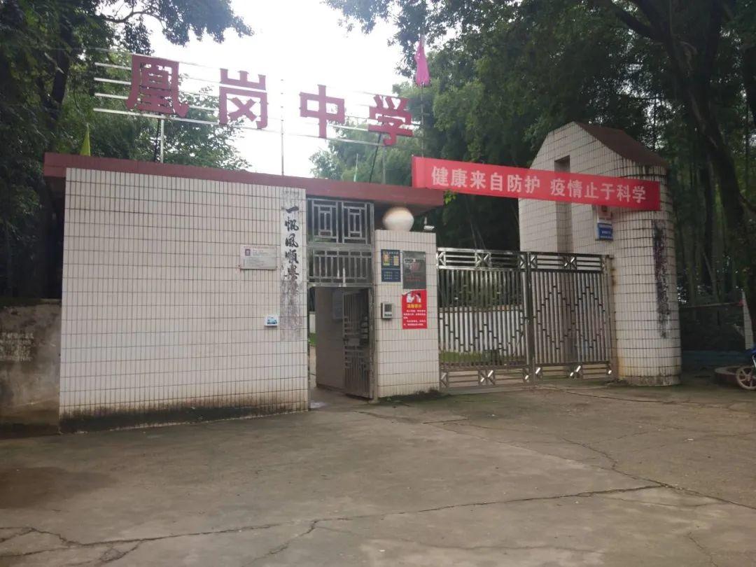 鄱陽凰崗自然美景探索之旅，追尋內(nèi)心平和的旅程最新消息