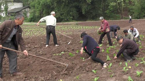 合川香龍鎮(zhèn)新任書(shū)記的溫馨日常風(fēng)采展示