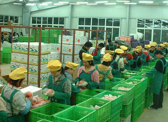 最新養(yǎng)雞場普工招聘啟事，攜手共創(chuàng)自信與成就，共啟勵(lì)志人生之旅