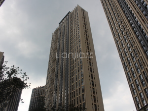 霸州天鵝灣最新動(dòng)態(tài)，自然美景探索之旅，尋找內(nèi)心的寧靜與喜悅