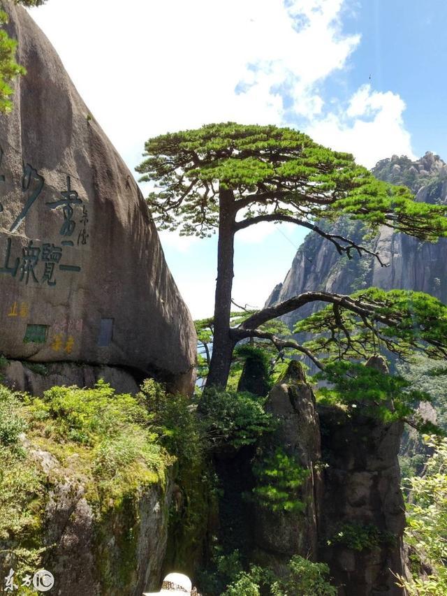 徽州復(fù)名的最新進(jìn)展更新，動態(tài)了解復(fù)名進(jìn)程